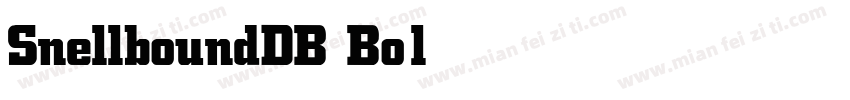 SnellboundDB Bold字体转换